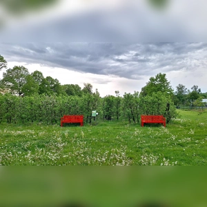 Farbkleckse unter dem Wolkengrau - gesehen in Triesdorf (Foto: Harmens Karg)