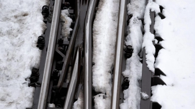 Wegen der hohen Schneelast sind nach Angaben der Bahn im Raum Nürnberg mehrere Bäume auf Gleise gestürzt. (Symbolbild) (Foto: Sven Hoppe/dpa)