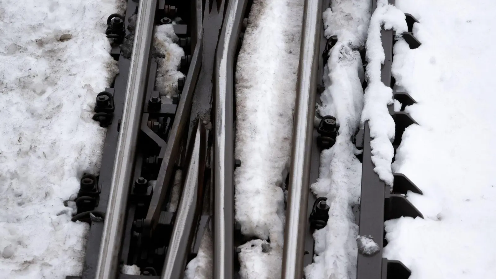 Wegen der hohen Schneelast sind nach Angaben der Bahn im Raum Nürnberg mehrere Bäume auf Gleise gestürzt. (Symbolbild) (Foto: Sven Hoppe/dpa)