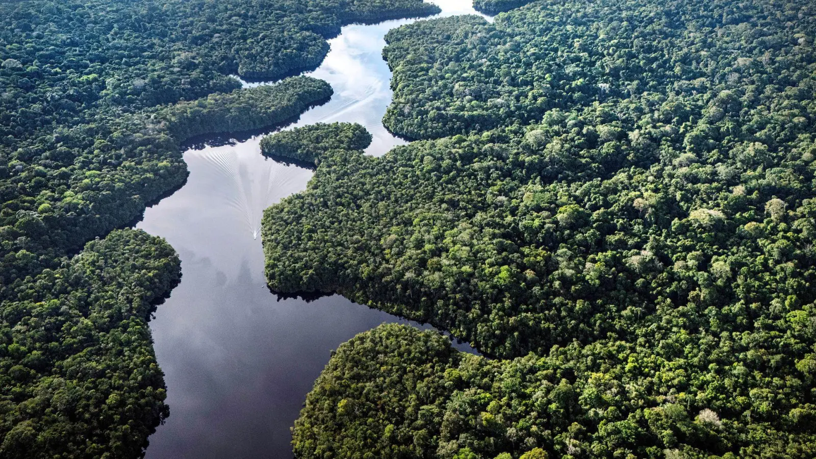 Der Amazonas: extrem wichtig fürs Klima, aber enorm unter Stress. (Archivbild) (Foto: Jorge Saenz/AP/dpa)