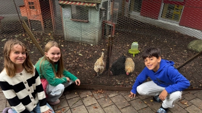Jede Woche kümmern sich die Schülerinnen und Schüler einer anderen Klasse um die Hühner: Emma (links), Johanna und Jussuf aus der 4a haben viel Spaß dabei.  (Foto: Lara Hausleitner)