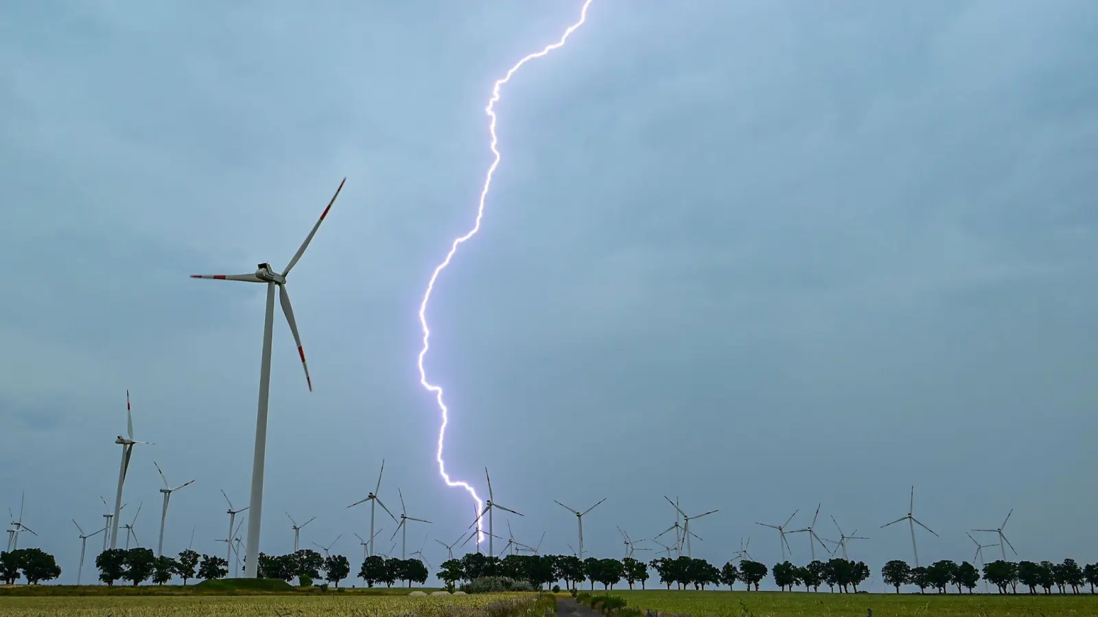 Gewitter, Stürme und Hitze zeigten am Wochenende bereits erste Spuren. (Foto: Patrick Pleul/dpa)