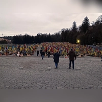 Das Marsfeld in Lwiw, ein riesiges Flaggenmeer der Toten. (Foto: Christian Hofmann)