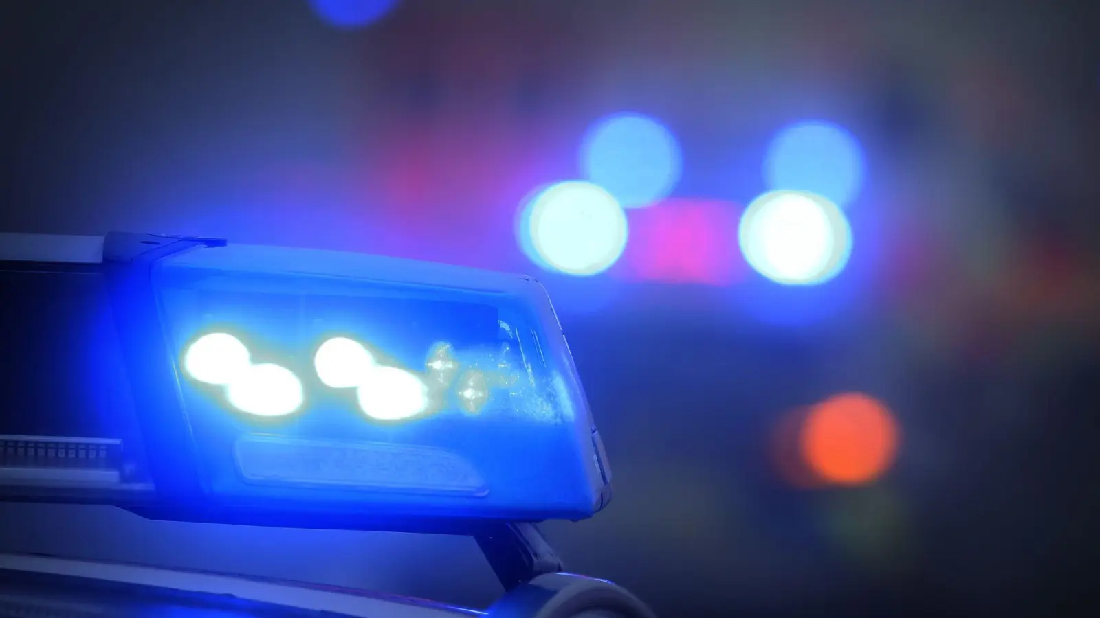 Bei der Durchsuchung der Wohnung findet die Polizei zahlreiche Waffen. (Symbolbild) (Foto: Karl-Josef Hildenbrand/dpa)