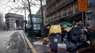 Im Kommunalwahlkampf in Paris versprechen viele Kandidatinnen und Kandidaten für das Bürgermeisteramt ein härteres Vorgehen gegen Ratten. (Archivbild) (Foto: Christophe Ena/AP/dpa)