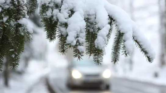 Ein Auto fährt hinter einem schneebedeckten Zweig über die Straße. (Foto: Matthias Bein/dpa-Zentralbild/dpa/Symbolbild)