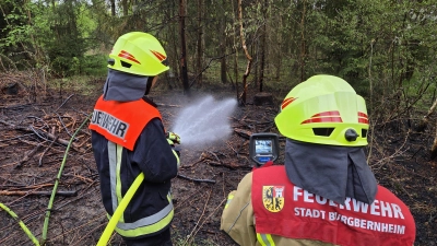 Zahlreiche kleinere Bäume sowie viel Unterholz wurden am späten Dienstagnachmittag in einem Waldstück bei Burgbernheim von Flammen vernichtet.  (Foto: Rainer Weiskirchen)