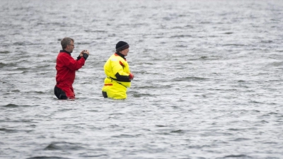 Till Backhaus läuft zum Buckelwal (Foto: Philip Dulian/dpa)