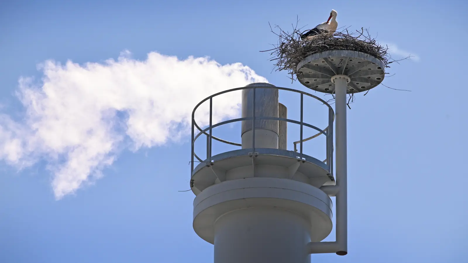 Die Firma Oechsler hat an ihrem Kamin eigens eine Nistplattform angebracht. Seitdem kann der Schornstein rauchen, ohne die Störche bei der Brutpflege zu stören. Vier Küken wurden hier 2022 flügge. (Foto: Jim Albright)
