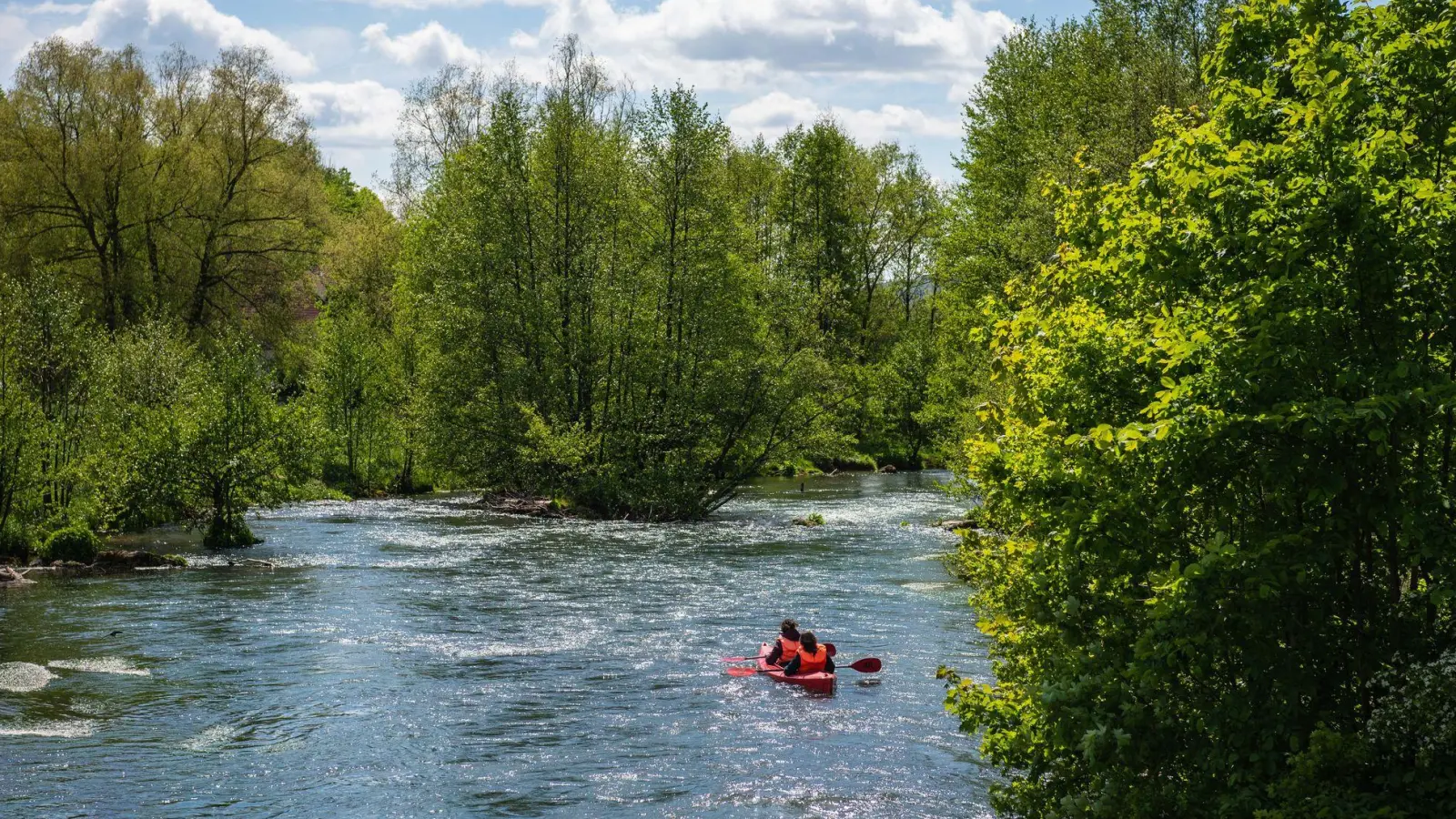 Um die Kanufahrten auf der Wiesent gibt es seit Jahren einen Rechtsstreit. (Archivbild) (Foto: Nicolas Armer/dpa)