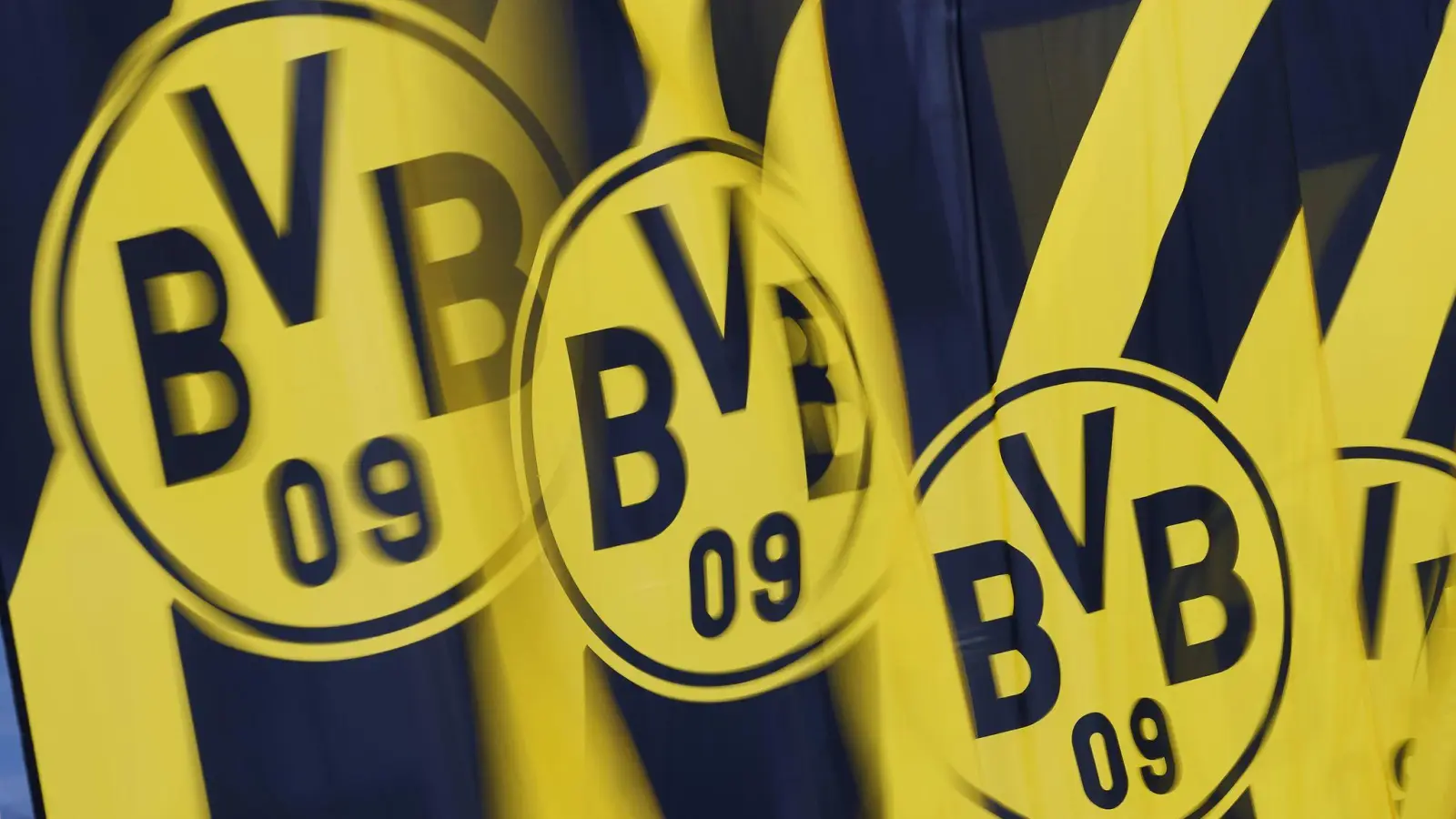 Der BVB geht juristisch gegen Wahlwerbung der AfD vor (Illustration) (Foto: Bernd Thissen/dpa)