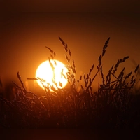 Auch heute bleibt es der Vorhersage zufolge sonnig und außergewöhnlich heiß. (Foto: Karl-Josef Hildenbrand/dpa)