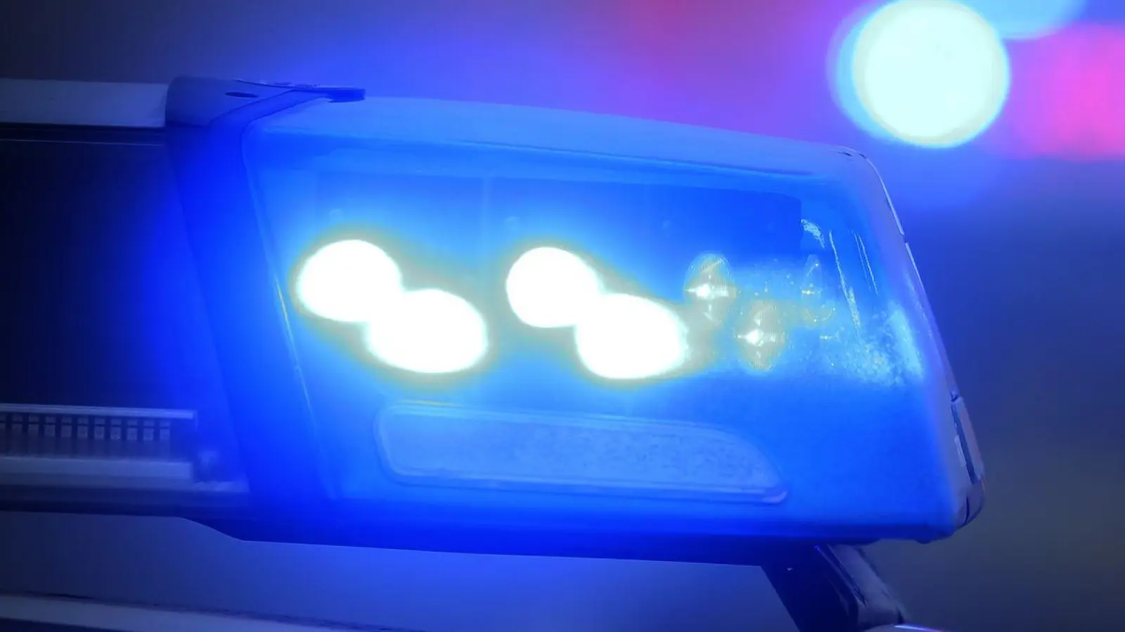 Polizisten nahmen die beiden Jugendlichen fest. (Symbolbild) (Foto: Karl-Josef Hildenbrand/dpa)