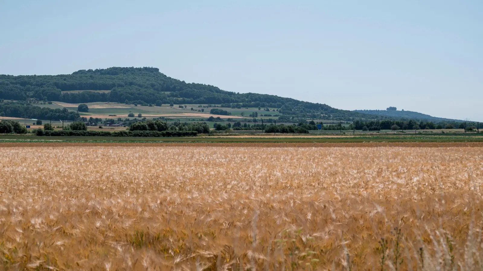 Der August war laut Daten des Landesamts für Umwelt vor allem in Nordbayern deutlich zu trocken. (Archivbild) (Foto: Daniel Vogl/dpa)