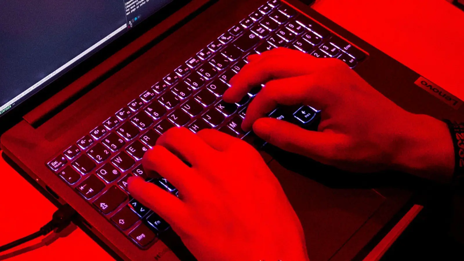 Treiber der Digitalwirtschaft ist laut Bitkom besonders Software. (Symbolbild) (Foto: Daniel Bockwoldt/dpa)