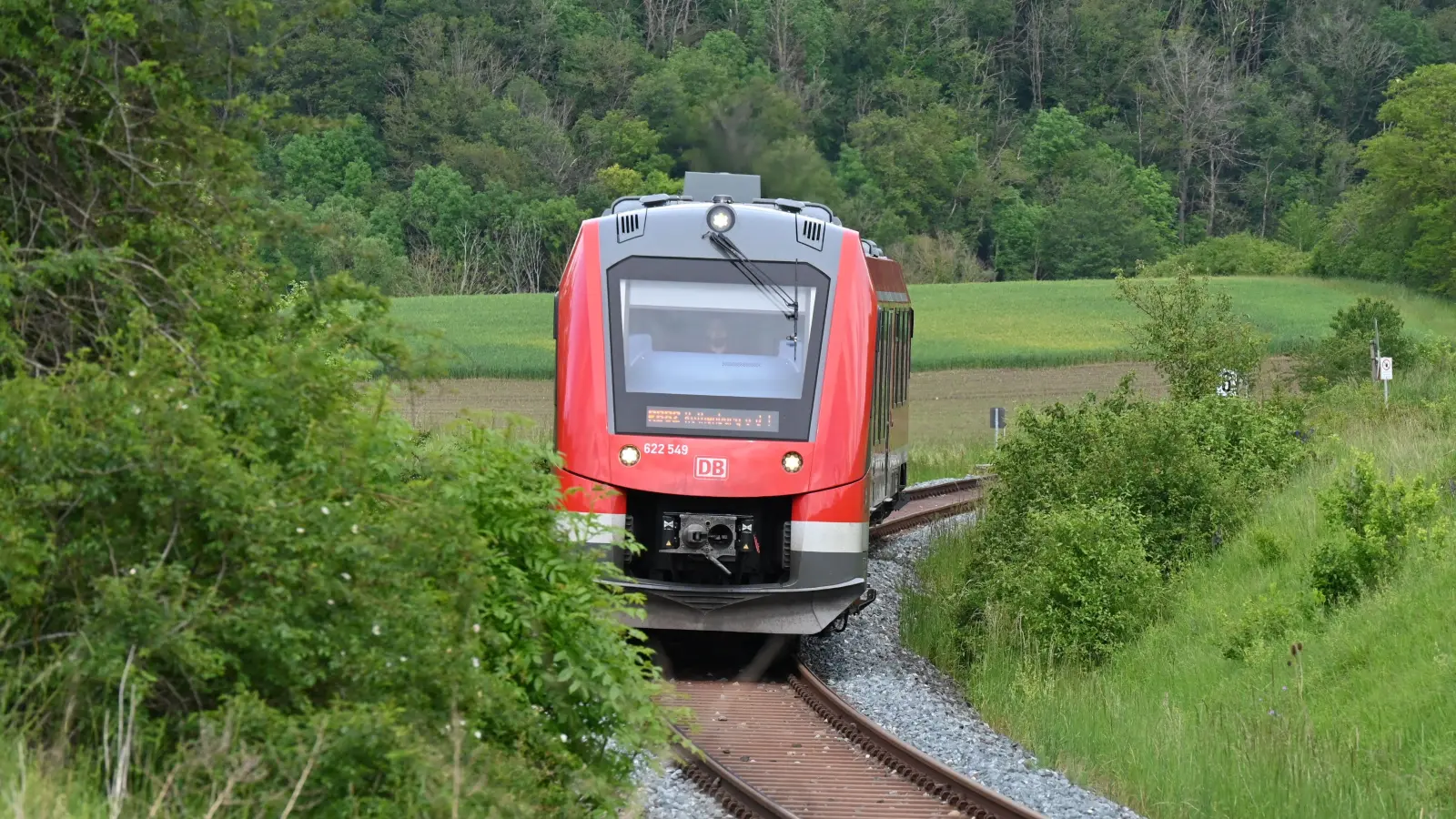 Der Zug zwischen Steinach nach Rothenburg ist defekt und muss auf der Strecke repariert werden.  (Archivbild: Manfred Blendinger)