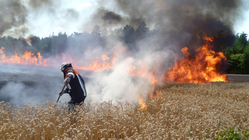 Schon aus dem Jahr 2019 stammt dieses Foto aus dem Bereich Baudenbach, ist allerdings aktueller denn je: Die Felderbrände häufen sich, doch der oberste Brandschützer des Landkreises sieht noch keinen Grund für Panik. (Foto: Feuerwehr Baudenbach/Werner Weglehner)