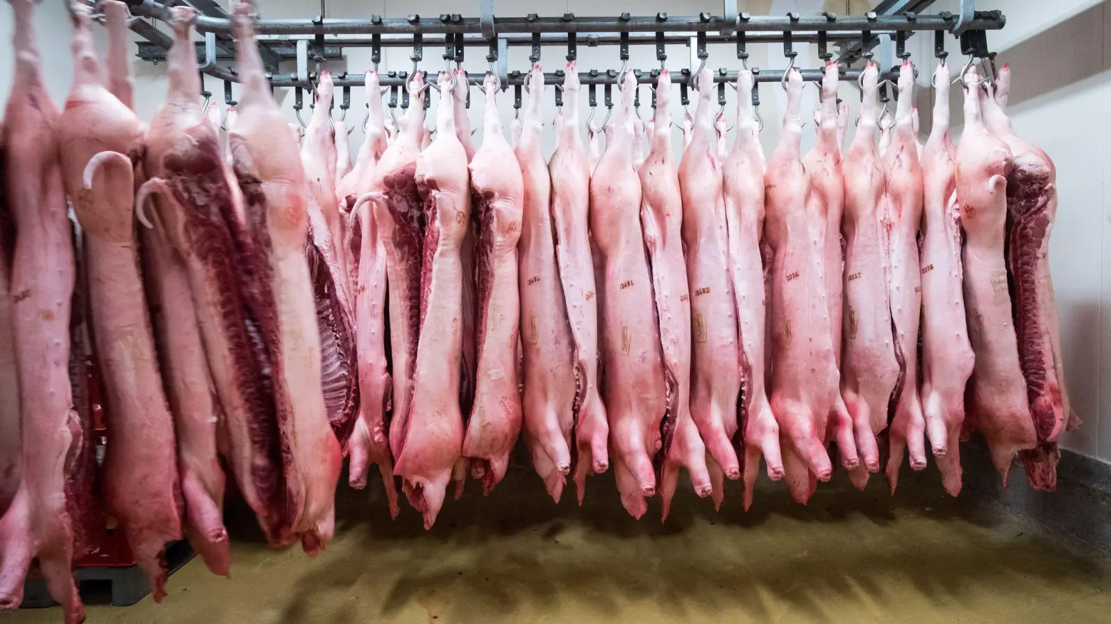China erschwert mit Zöllen den Import von Schweinefleisch aus der EU. (Symbolbild) (Foto: Christian Charisius/dpa)