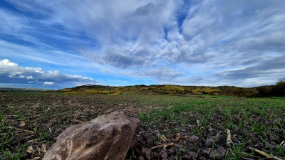 Der Herbst gibt alles - gesehen bei Ipsheim (Foto: Ernst Ripka)