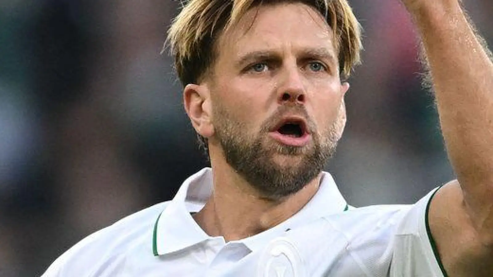 Werder Bremens Torjäger Niclas Füllkrug. (Foto: Carmen Jaspersen/dpa)