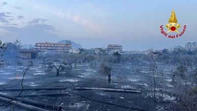 Brände auf Sizilien: Der nördliche Teil der Mittelmeerinsel ist besonders betroffen. (Foto: Vigili del Fuoco/dpa)
