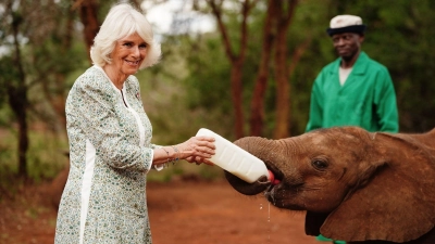 Königin Camilla (l) füttert ein Elefantenbaby beim Besuch im Nairobi-Nationalpark. (Foto: Victoria Jones/PA Wire/dpa)