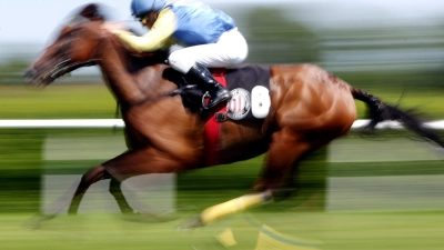 In einer Suppenküche findet ein Gast in seinem Essen den Mikrochip eines ehemaligen Rennpferdes. (Symbolfoto) (Foto: Malte Christians/dpa/dpa-tmn)