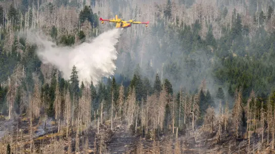 Ein italienisches Löschflugzeug bekämpft einen Waldbrand am Brocken. (Foto: Julian Stratenschulte/dpa)
