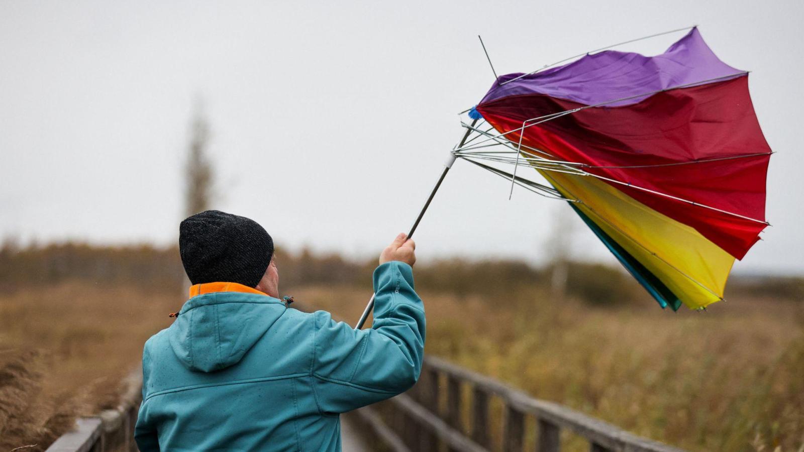 Herbststurm: Strom fällt aus, Bäume stürzen um | FLZ.de