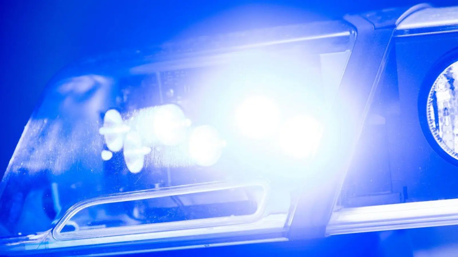 Die Polizei fing zusammen mit dem Schäfer 30 Schafe ein. (Symbolbild) (Foto: Lino Mirgeler/dpa)