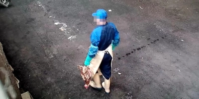 Nach Auswertung der Videos wird die Staatsanwaltschaft Ansbach die Beschuldigten anhören. (Foto: aninova.org)