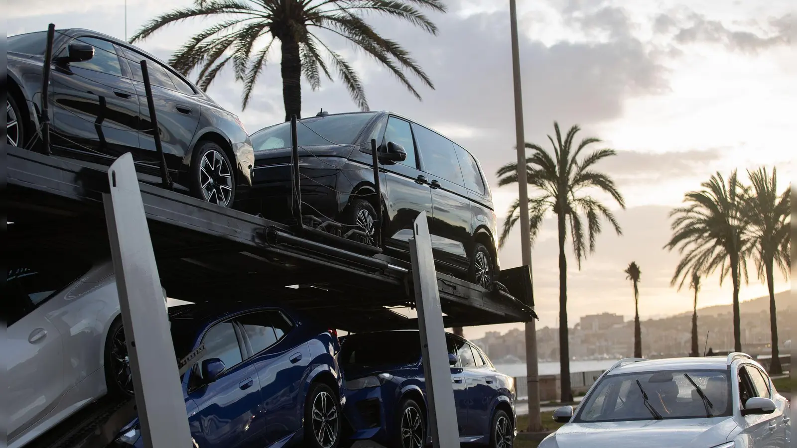 Mallorca denkt darüber nach, Zweitwagen für Zweithausbesitzer, die nicht auf der Insel angemeldet sind, zu verbieten. (Archivbild) (Foto: Clara Margais/dpa)