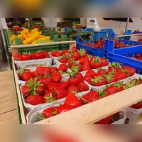 Den Weg zum Wochenmarkt nehmen trotz der Hitze viele Menschen auf sich. Eingedeckt wird sich dort unter anderem mit frischem Obst und Gemüse. (Foto: Anna Franck)
