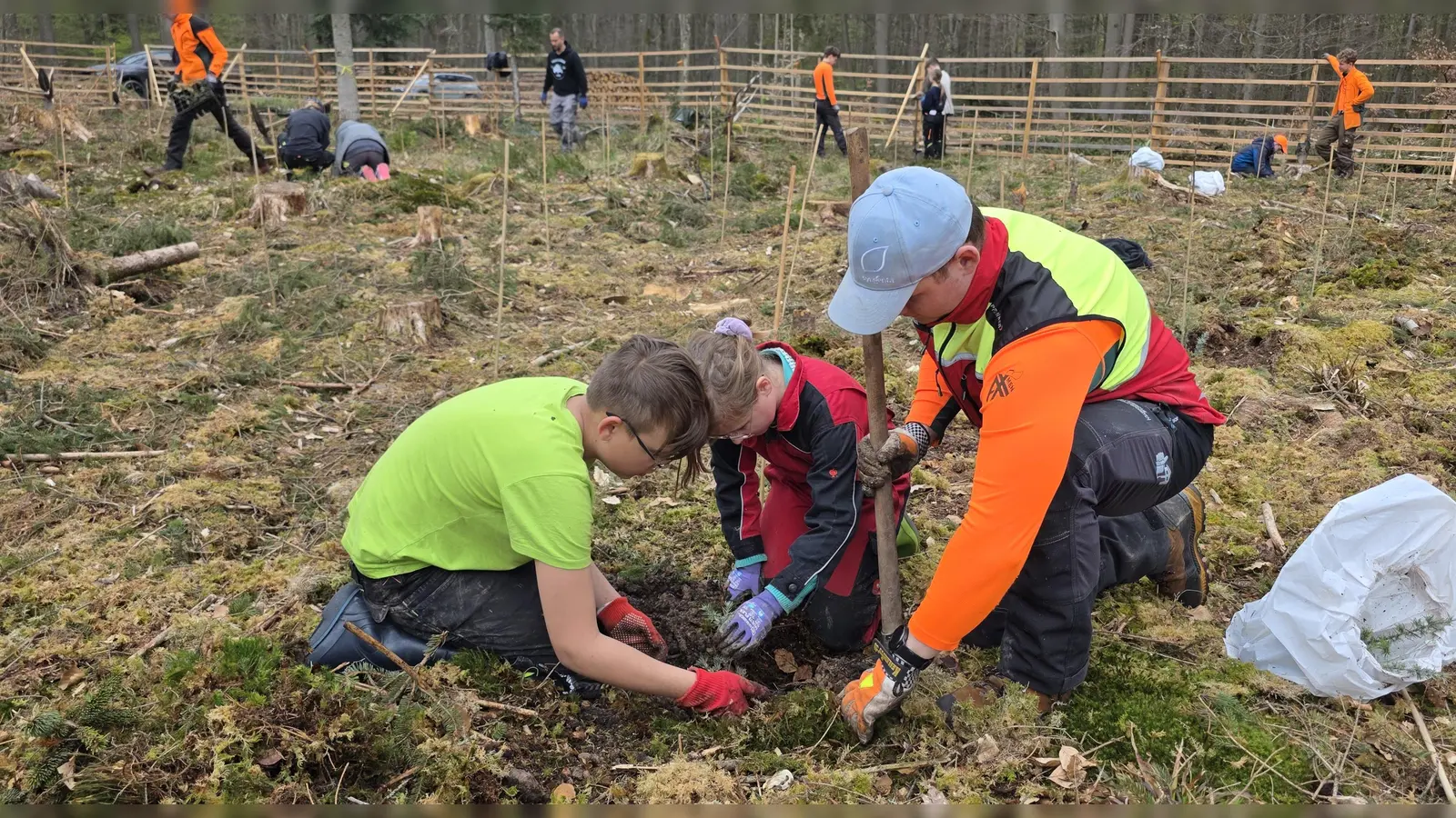 Kinder der Valentin-Ickelsamer-Mittelschule pflanzten gemeinsam mit den Auszubildenden des Forstbetriebes Atlaszedern im Wald bei Wachsenberg.<br> (Foto: Florian Vogel)