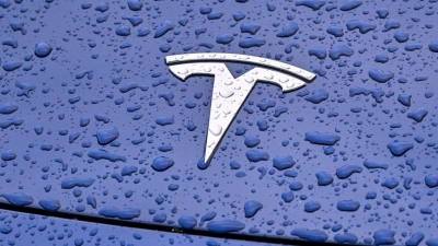 Steht Tesla im Regen? Der US-Hersteller will mehr als zehn Prozent seiner Stellen weltweit abbauen. (Foto: Patrick Pleul/dpa)