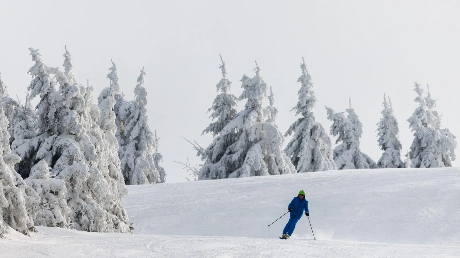 Ein Wintersportler fährt auf Skiern eine Piste hinunter. (Foto: Philipp von Ditfurth/dpa)
