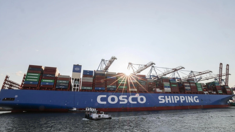 Cosco-Containerschiffe laufen regelmäßig Hamburg an. (Archivbild) (Foto: Christian Charisius/dpa)