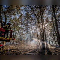Ein Waldbrand auf hessischem Gebiet hatte auch auf Bayern übergegriffen. (Archivbild)   (Foto: Andreas Arnold/dpa)