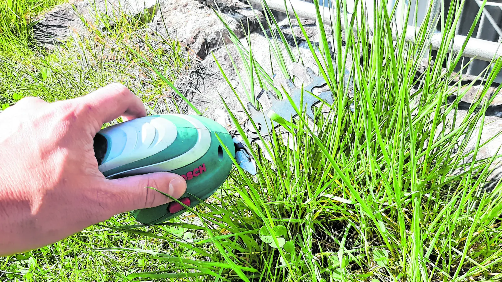 Mit guten Gartengeräten geht die Arbeit leicht und stressfrei von der Hand. (Foto: Christian Treffer)