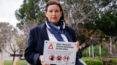 Die tödliche Virusvariante der Vogelgrippe hat das australische Festland erreicht.  (Foto: Richard Wainwright/AAP/dpa)