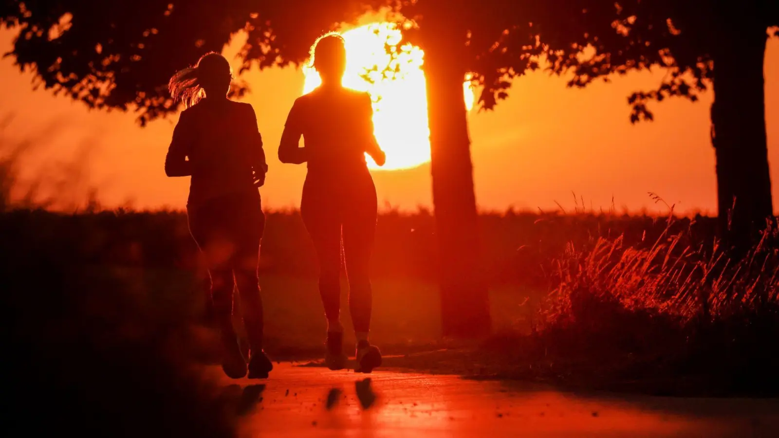 Zur Wochenmitte soll es wieder sommerlich werden. Viel Sonne und Temperaturen bis 29 Grad. Allerdings nicht in allen Teilen Deutschlands. (Symbolbild) (Foto: Thomas Warnack/dpa)