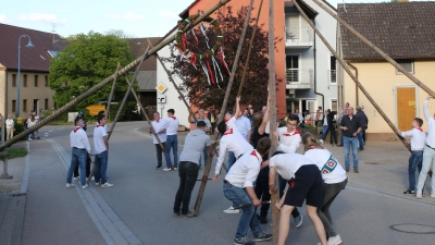 Das Aufstellen des Kerwa-Baums gehört wieder zu den Höhepunkten der Festtage. (Foto: Alexander Biernoth)