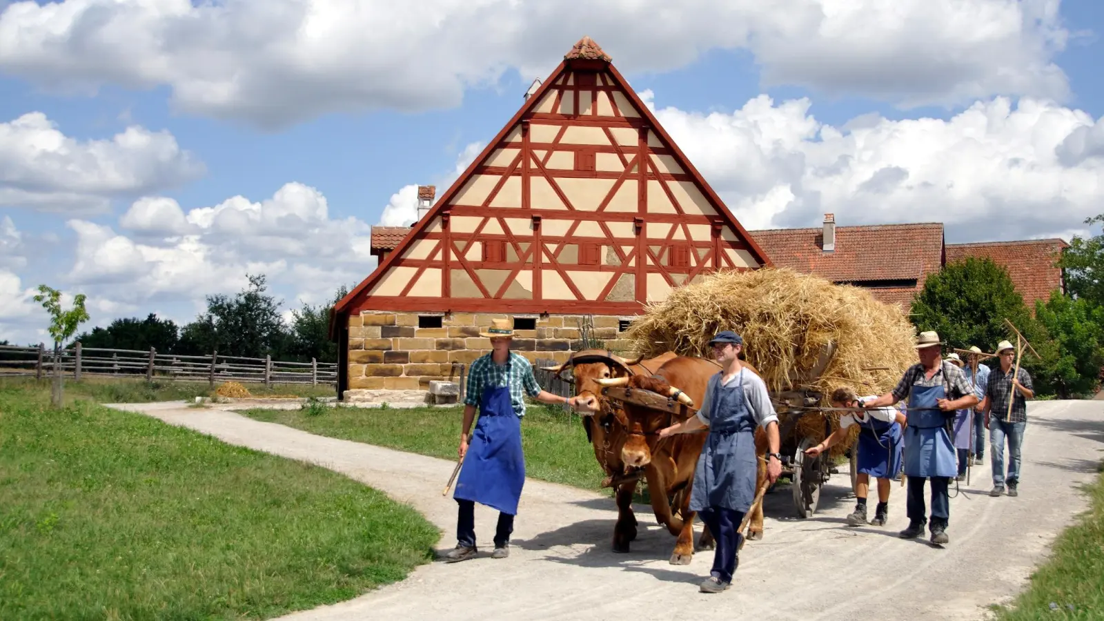 Ein Höhepunkt der Feierlichkeiten anlässlich des 40-jährigen Bestehens des Fränkischen Freilandmuseums ist der Festumzug am Sonntag um 13 Uhr, bei dem auch ein Ochsengespann zu sehen sein wird.  (Foto: Ute Rauschenbach)