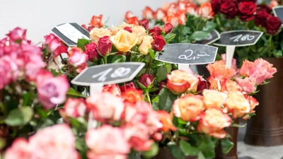 Der Valentinstag sorgt im bayerischen Handel für sehr viel mehr Umsatz als Fasching beziehungsweise Fastnacht. (Archivbild) (Foto: Pia Bayer/dpa)