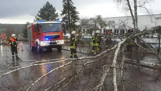 Am Freitag beseitigte die Feuerwehr in Wieseth einen umgestürzten Baum nach einem kurzen Unwetter. (Foto: Wolfgang Grebenhof)
