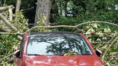 Herabfallende Äste können Autos beschädigen. Nicht immer muss dann der Baumbesitzer zahlen. (Foto: Soeren Stache/dpa/dpa-tmn)