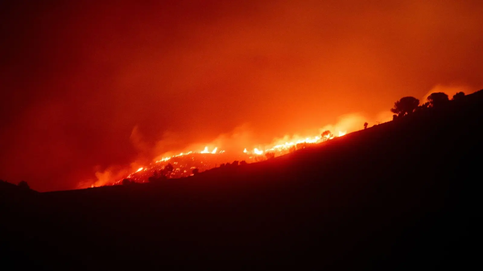 Der Waldbrand in der Nähe von Portbou in Katalonien konnte weitgehend unter Kontrolle gebracht werden. (Foto: Lorena Sopêna/EUROPA PRESS/dpa)