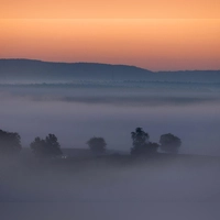 Die Woche startet herbstlich mit Nebel. (Archivbild) (Foto: Karl-Josef Hildenbrand/dpa)