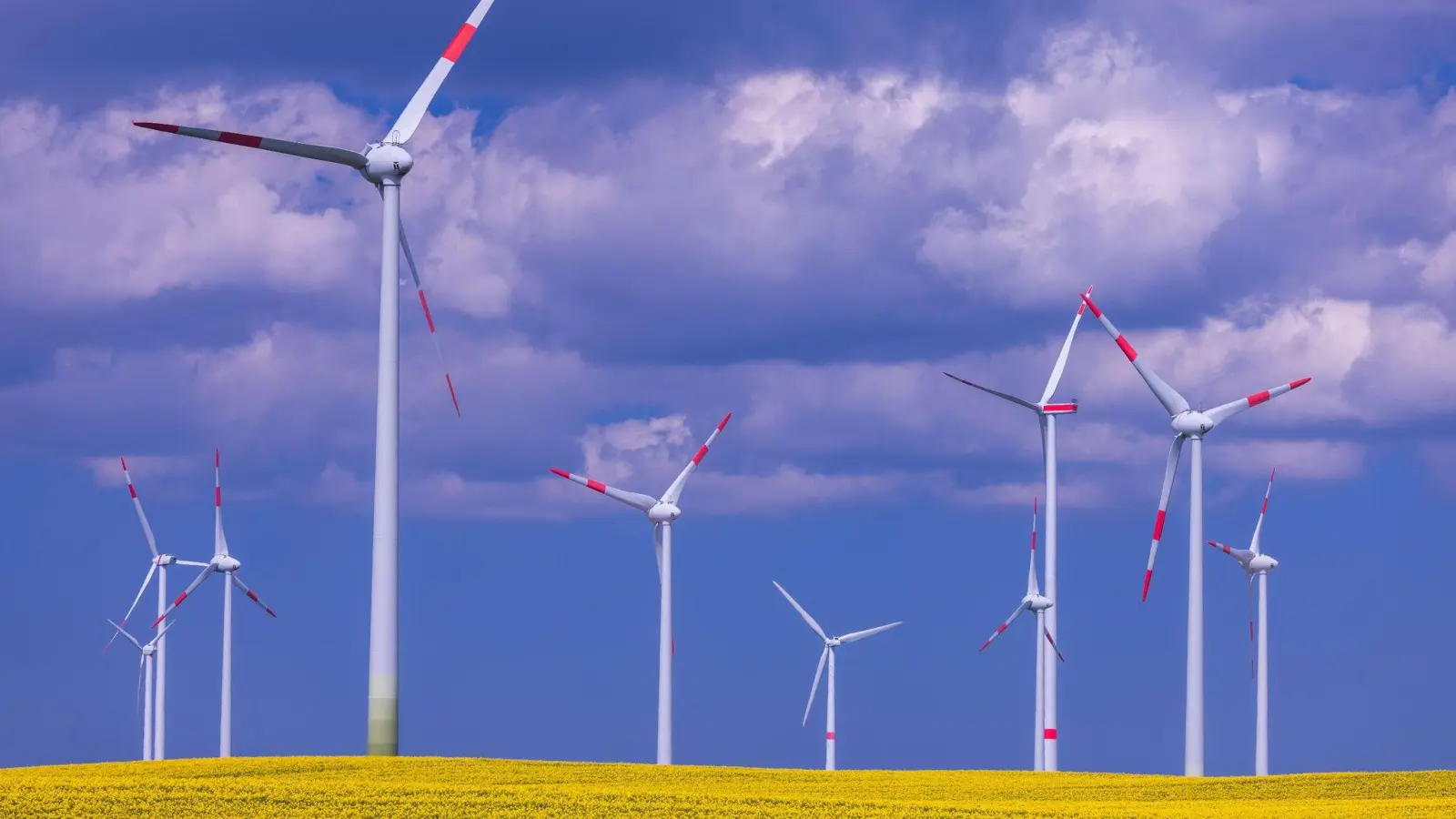 Die Windenergiebranche sieht sich angesichts der Klima- und jüngsten Energiekrise weiter weltweit auf einem guten Weg. (Foto: Jens Büttner/dpa)