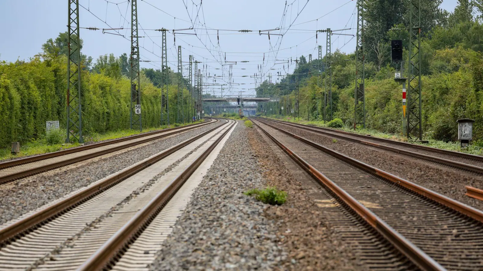 Der Lokführer des Regionalzugs leitete eine Notbremsung ein. (Symbolbild) (Foto: Christoph Reichwein/dpa)